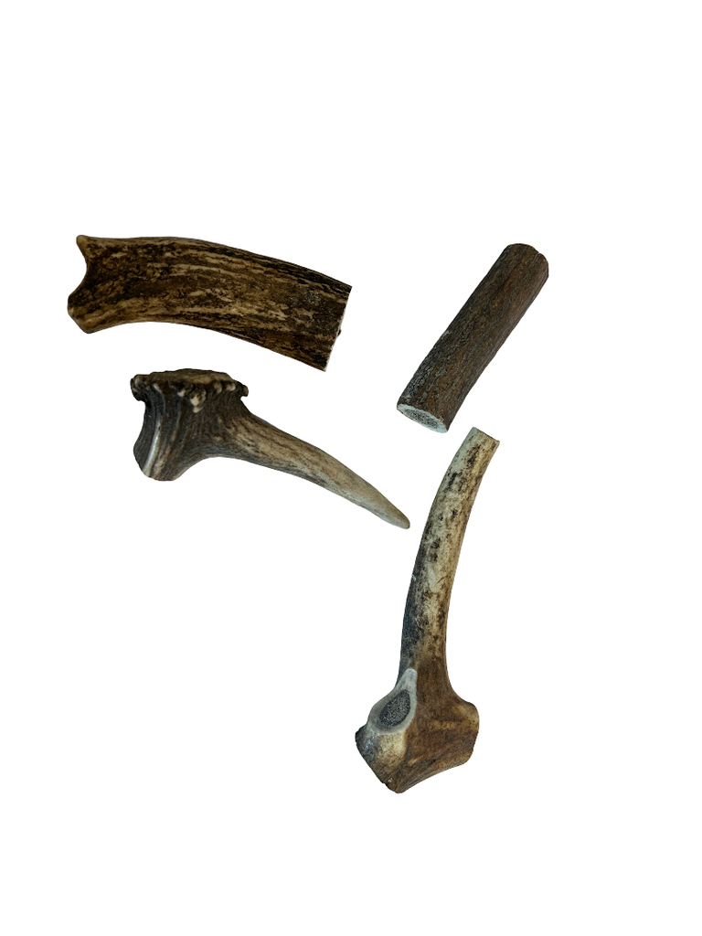 Bois de cerf à l’unité aléatoire