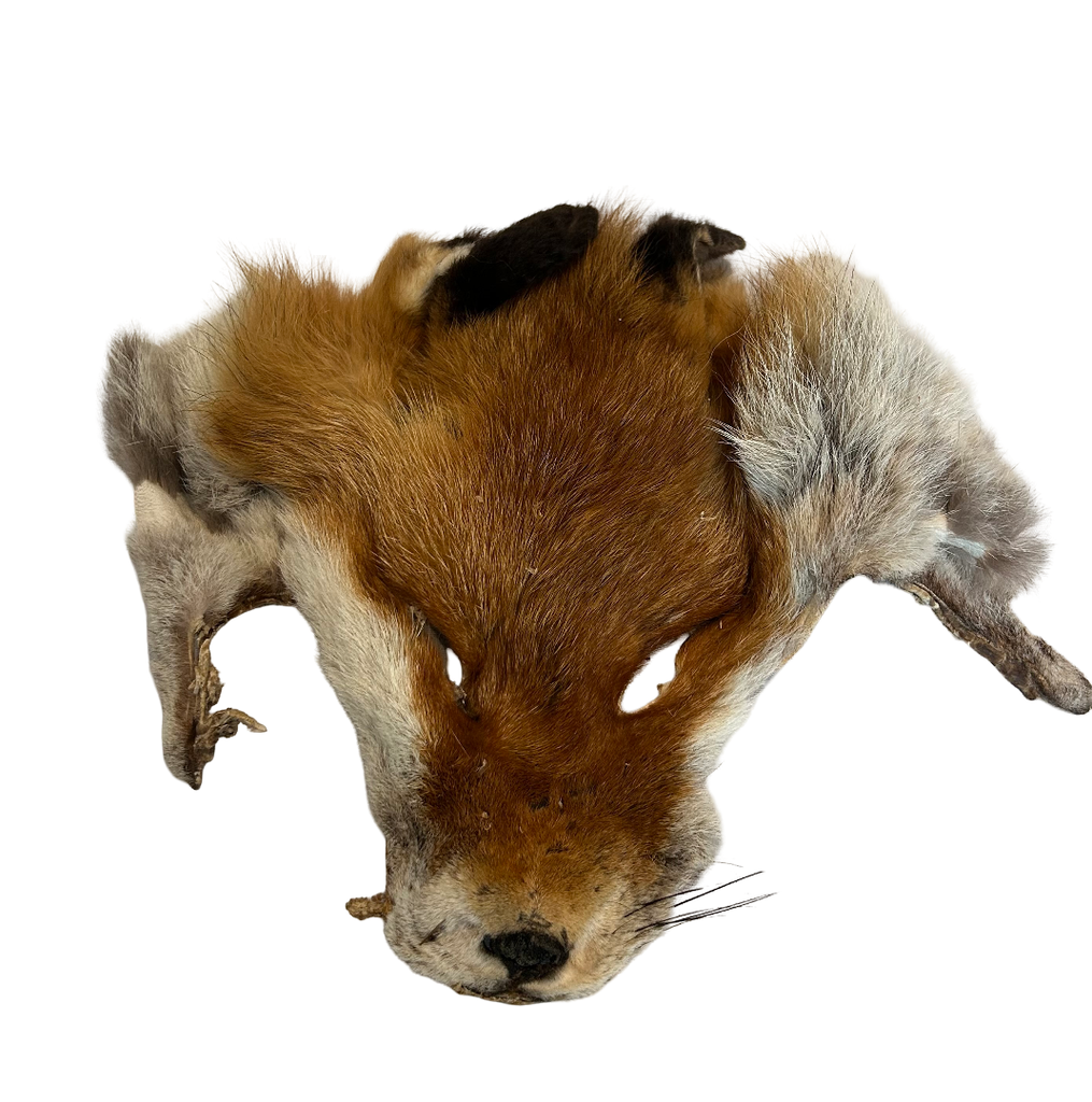 Masque de renard